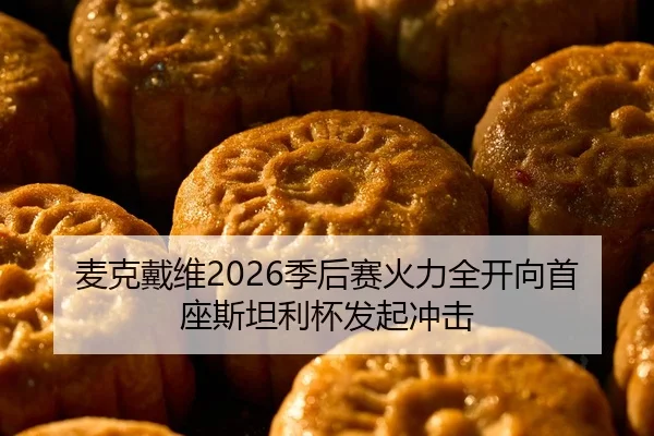麦克戴维2026季后赛火力全开向首座斯坦利杯发起冲击